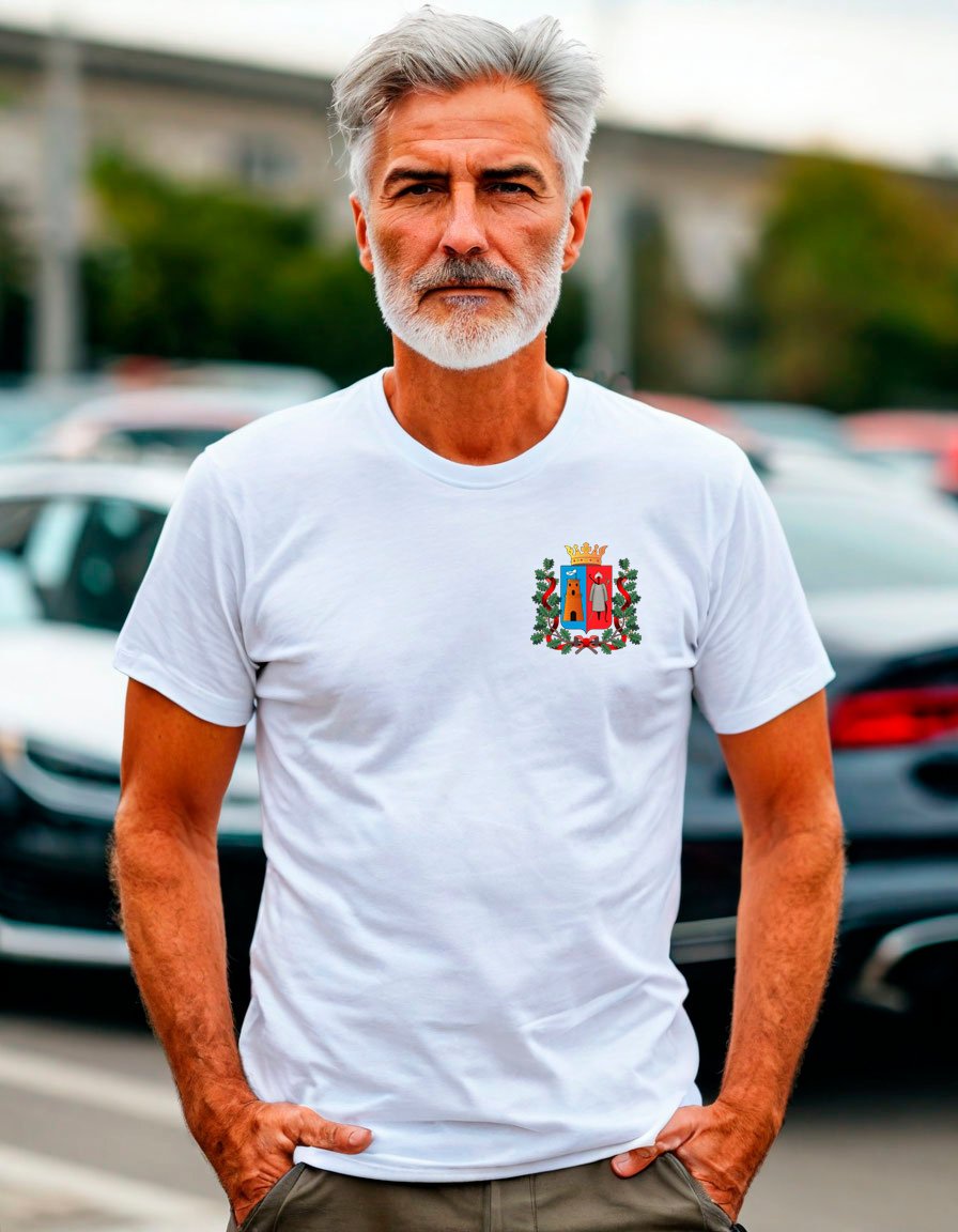 Мужские футболки ростов